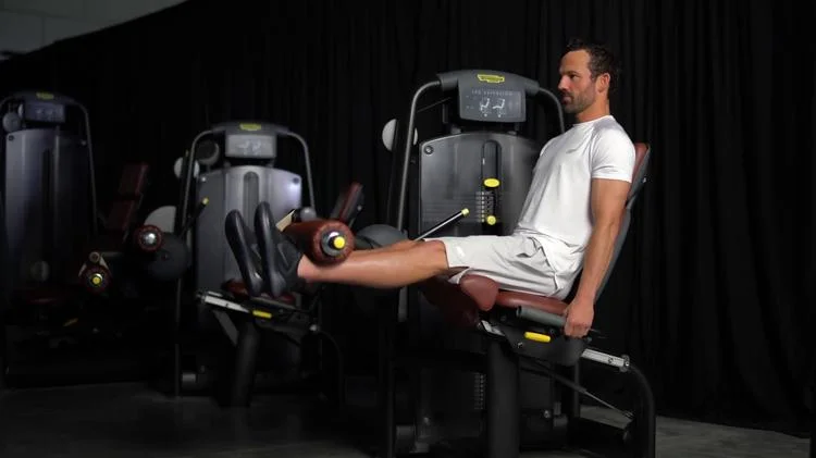 leg extension