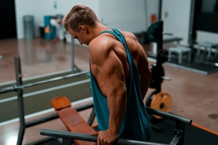 longue portion triceps