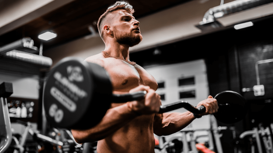biceps muscu