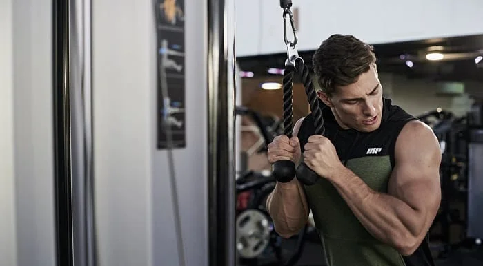 Igor Opeshanksy triceps