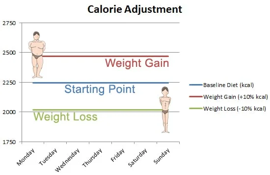 calorie-adjustment