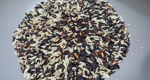 variété de riz, le riz brun (2)