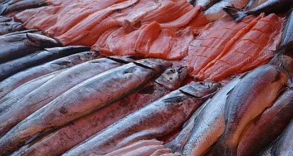 Les poissons sont riches en vitamines