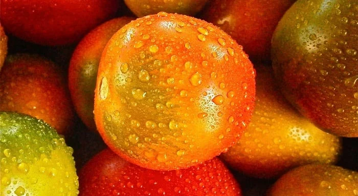 tomates