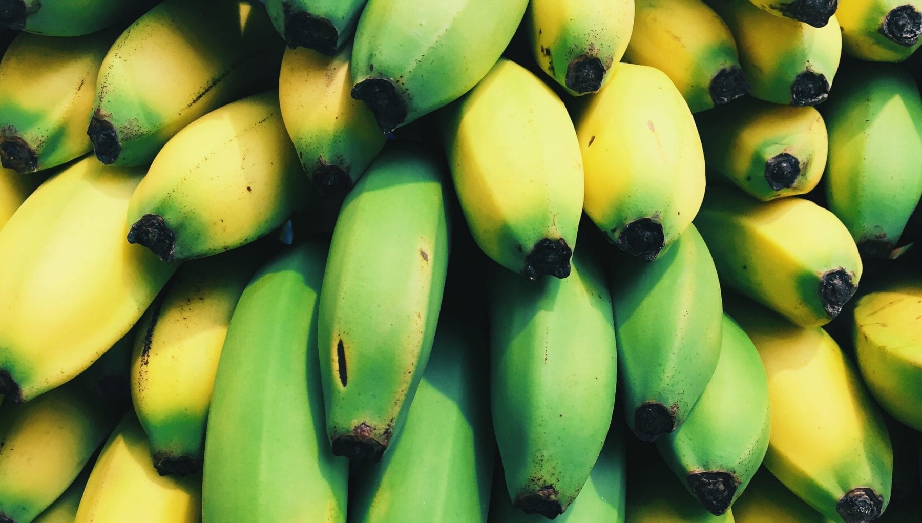vitamins for muscle