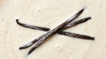 Vanilla (+Collagen)