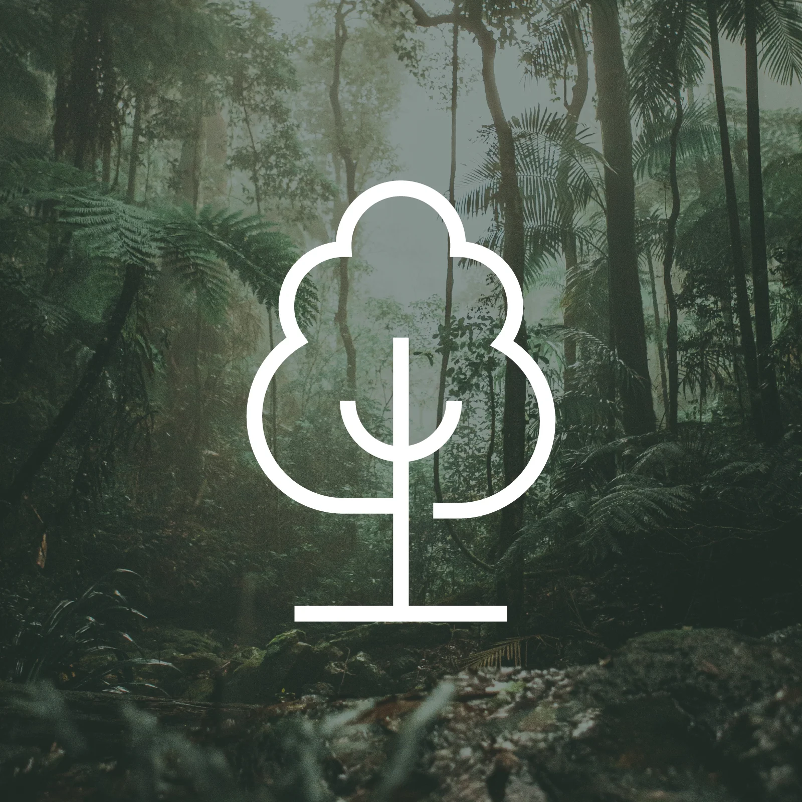 1 Tree Planted via THG (More Trees)Image1