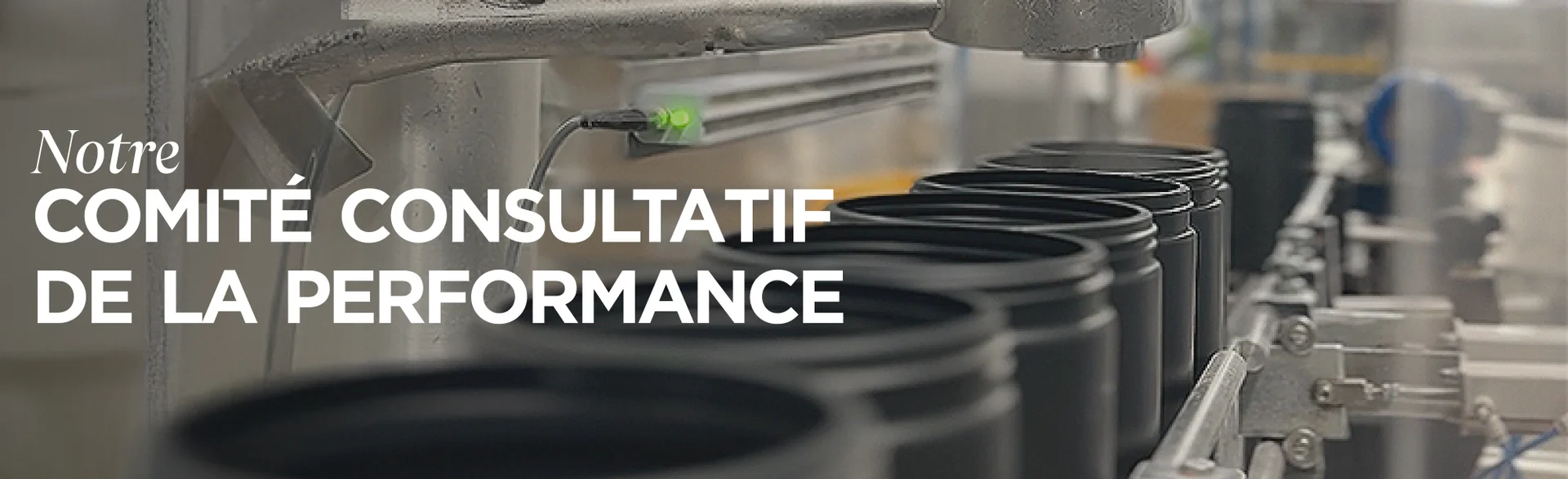 Notre Comité consultatif de la performance